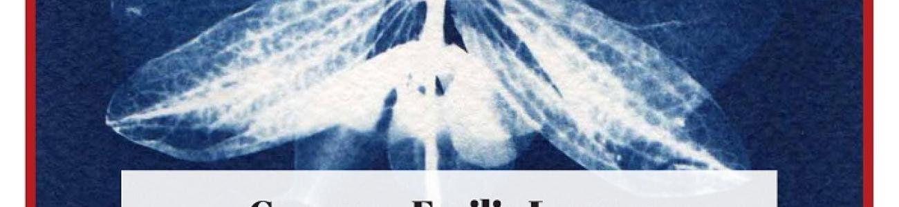 cyanotype fleur bleue